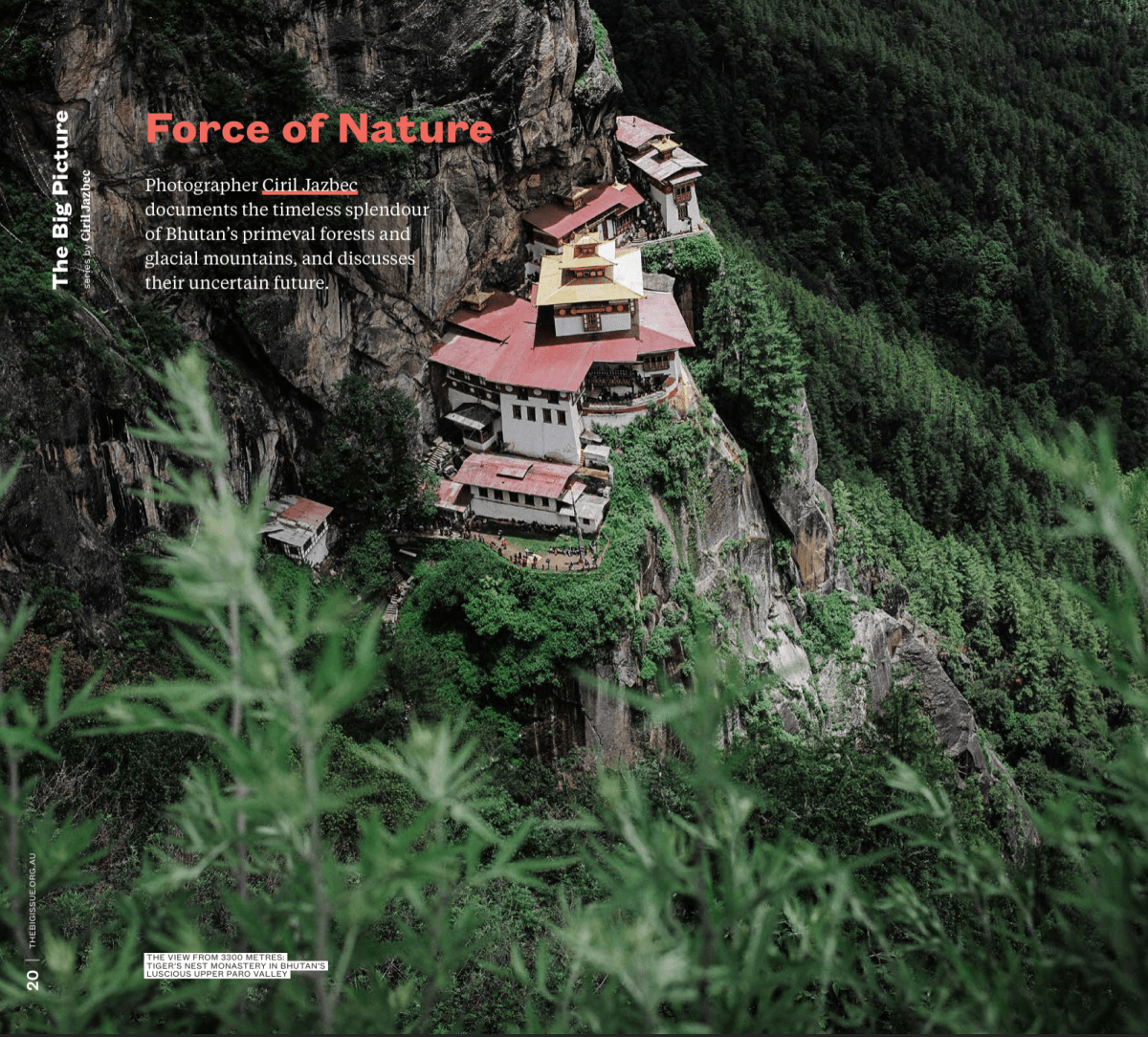 The Big Issue: Force of&nbsp;Nature