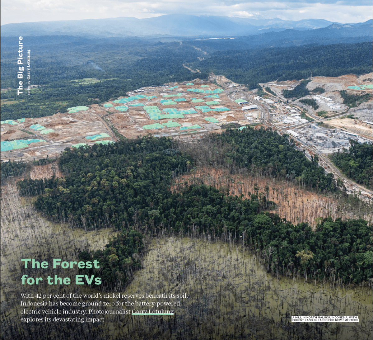 The Big Issue: The Forest for the&nbsp;EVs